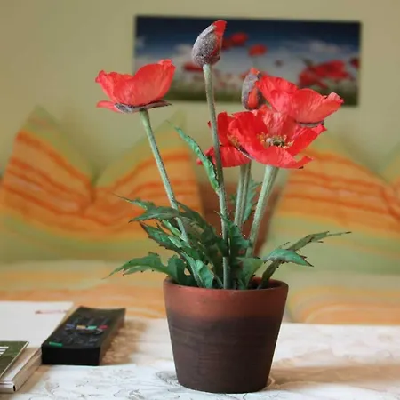 Gaestehaus Sonnenheim *